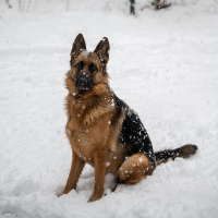 Alledaagse Dingen_12