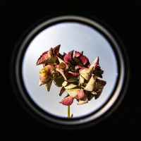 Alledaagse Dingen_24