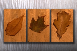 Fotoalbum