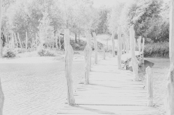 HIgh Key_10