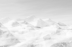 HIgh Key_20