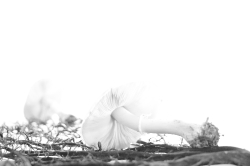 HIgh Key_4