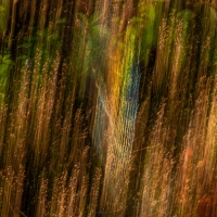 ICM_35