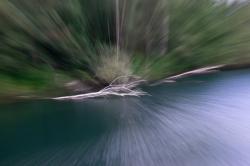 ICM_37
