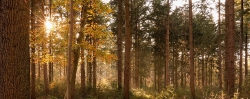 Landschap_11