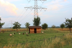 Landschap_12