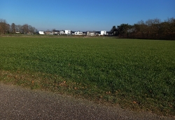 Landschap_15