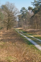 Landschap_16