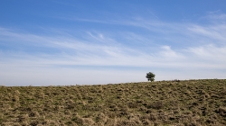Landschap_18