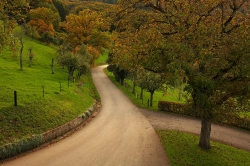 Landschap_1