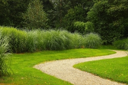 Landschap_21