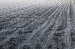 Landschap_23