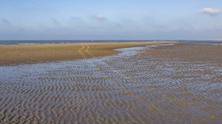 Landschap_25