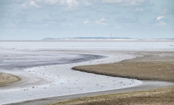 Landschap_3