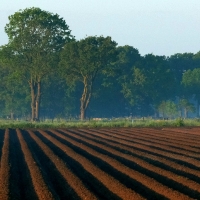Landschap_6