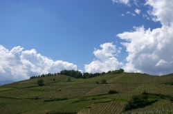 Landschap_9