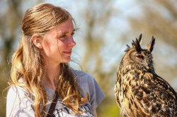 Roofvogels_16