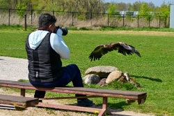 Roofvogels_18