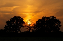 Silhouet_22