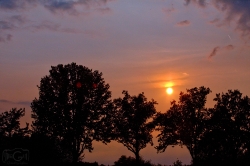 Silhouet_32