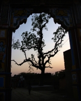 Silhouet_40
