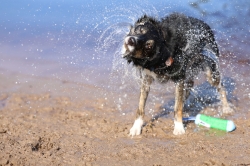 Water_6